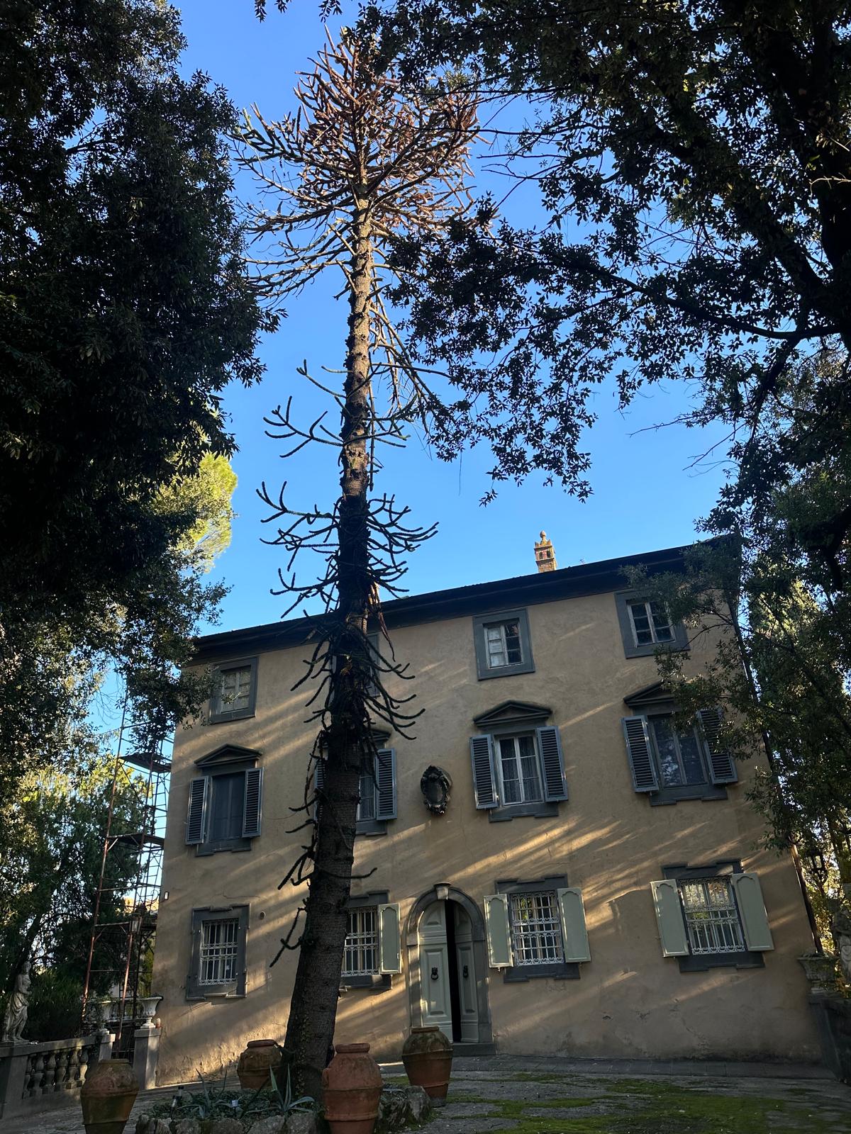 Villa Amore Second Gallery